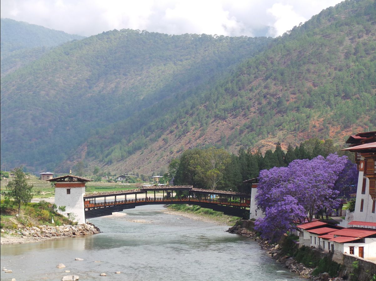Punakha Dzong10